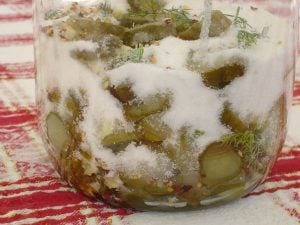 Pickles in the jar with sugar and spices.