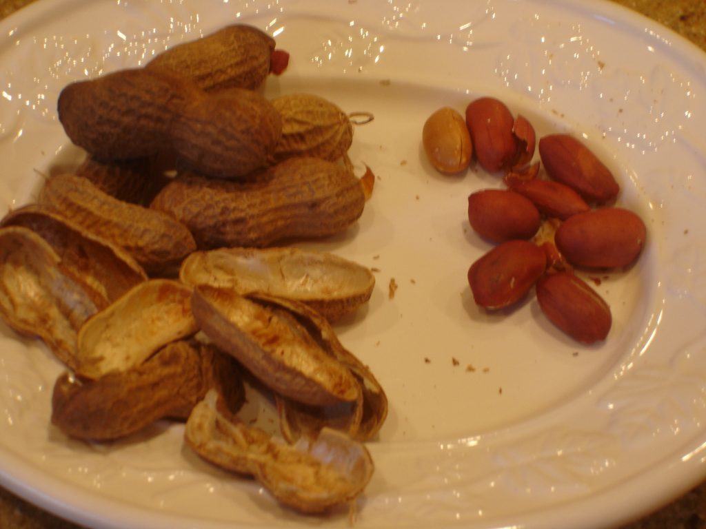 Cotton And Peanuts Recipe Parched Peanuts Syrup And Biscuits