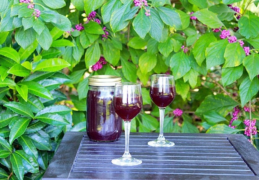Blackberry Cordial in jar and glasses on table.