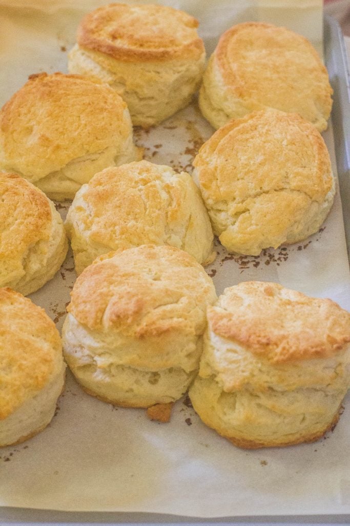 Three Ingredient High Rise Buttermilk Biscuits on baking sheet.