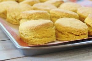 Pumpkin Pie Biscuits. All the flavors of pumpkin pie folded into buttermilk biscuit dough: pumpkin, honey and spices.
