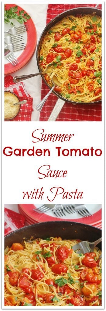 Summer Garden Tomato Sauce Pasta. Fresh picked summer tomatoes, oregano and parsley cooked with onions and garlic and served with Angel Hair pasta.
